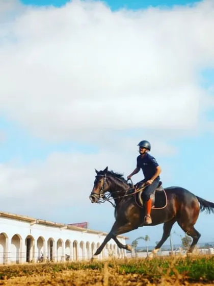 A rider enjoys a canter in our open field against a bright blue sky, capturing the freedom and joy of horse riding.