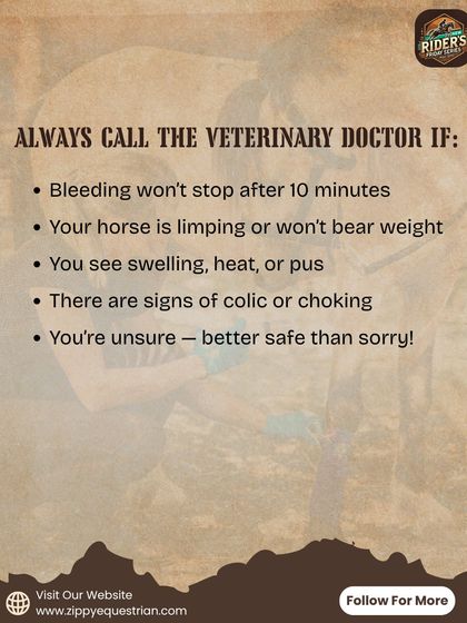 There are certain signs that require an immediate call to the veterinary doctor. We educate our staff and clients on these critical symptoms, because it's always better to be safe than sorry when it comes to a horse's health.