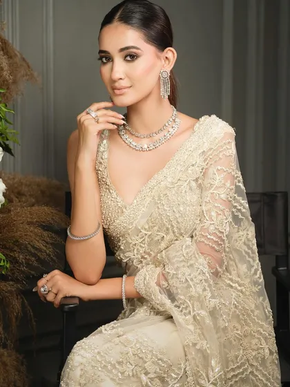 A classic portrait pose, showcasing the intricate details of the embroidered saree and the sparkling diamond necklace.