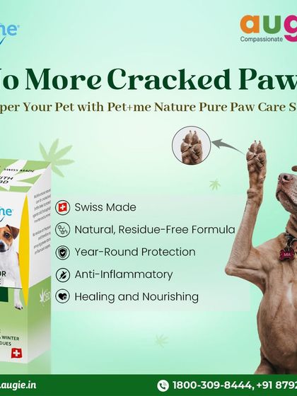 Augie Pets - Pet Supplies Spa Day at Home: Gentle Grooming Essentials photo 69