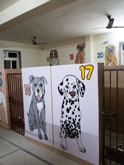 A look at our individual boarding kennels, each with a fun, unique painting. I've designed them to be cheerful, clean, and secure for your pet's comfort.