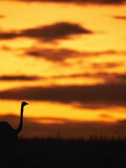 The Art of Seeing: Creative Compositions photo 15