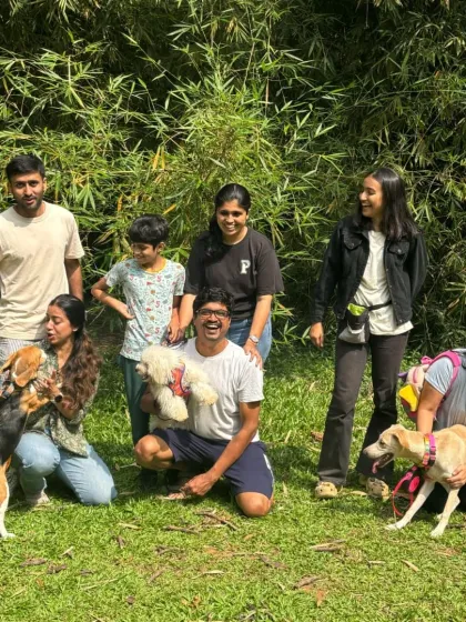 A successful socialization session is not about a chaotic free-for-all. Here, we are practicing engagement with parents and calm neutrality in the presence of other dogs, which are the foundational skills for good social behavior.