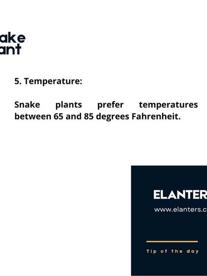 Expert Plant Care & Tips photo 42