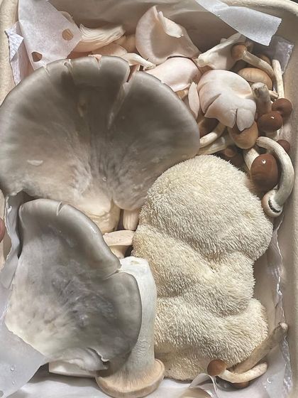 Gauravi Vinay - Personalized Clinical Nutrition Coaching My Life in Food photo 32