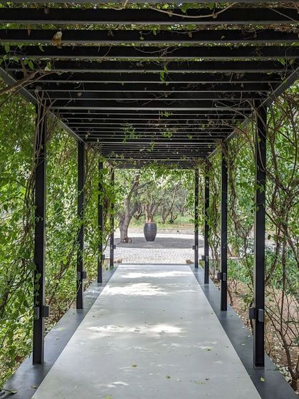 A view from the end of the vine-covered walkway, looking back towards the property. This pathway was designed to create a sense of journey and discovery upon arriving at the home.