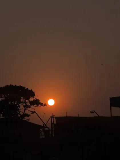 Another stunning sunset captured at PDP. The silhouette of the trees against the golden sky creates a peaceful and inspiring atmosphere for our evening training sessions.