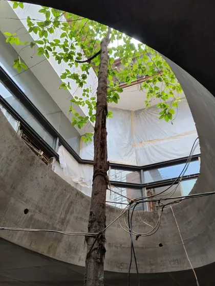 A tree grows through an elliptical oculus in the concrete slab at the 'House of Reddys' site. This detail, captured during construction, shows our commitment to integrating nature into the architectural fabric from the ground up.
