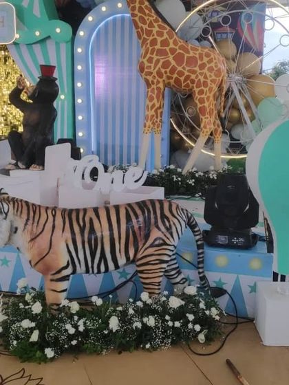 Carnival & Circus Fun photo 15