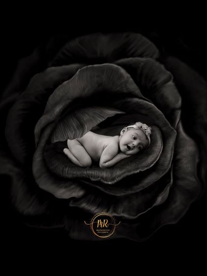 A highly artistic black and white portrait of a newborn baby resting inside the petals of a large, dark flower, showcasing a more dramatic and fine-art editing style.