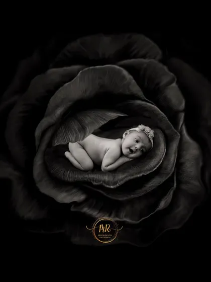 A highly artistic black and white portrait of a newborn baby resting inside the petals of a large, dark flower, showcasing a more dramatic and fine-art editing style.