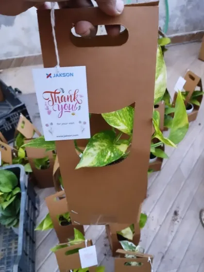 The final touch makes all the difference. This Golden Pothos is presented in our convenient cardboard carrier, complete with a custom "Thank You" tag for Jakson, making it a thoughtful and easy-to-distribute event giveaway.