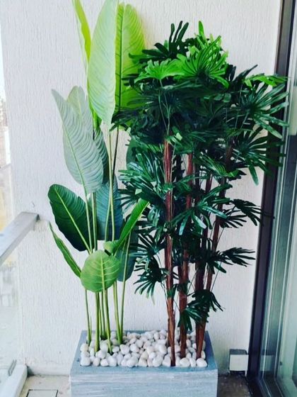A custom arrangement in a planter for a balcony. I combined a tall bird of paradise plant with a shorter palm to create a layered, tropical look.