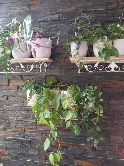 A simple and elegant wall garden on a stone-clad wall. The trailing plants in white pots on decorative shelves create a clean and sophisticated look, proving that wall gardens can be both creative and minimalist.
