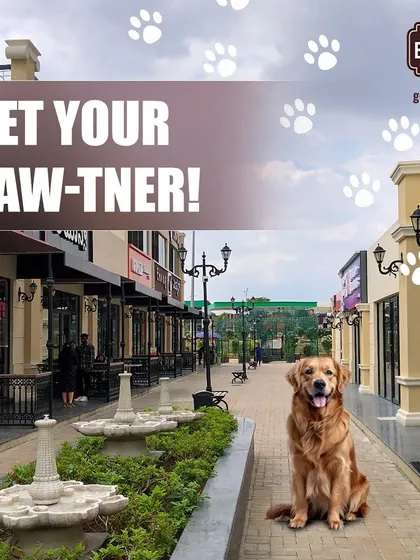 Get your paw-tner and come on down. This image shows a happy Golden Retriever sitting in our beautiful, landscaped walkway, ready for a day of fun.