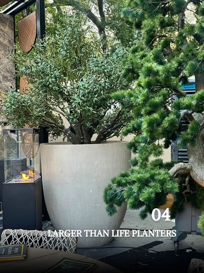 Curated Planters, Lighting & Decor photo 4