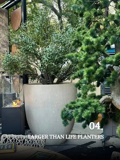 Bigger is often better for making a statement. These larger-than-life planters are perfect for anchoring an outdoor space, creating a stunning focal point, and giving large trees or shrubs plenty of room to thrive.