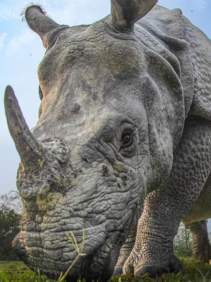 Additional Work photo 12