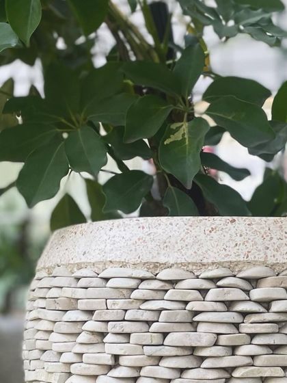 A close-up of the white pebble planter, showing how the stones are neatly arranged to create a woven-like effect.
