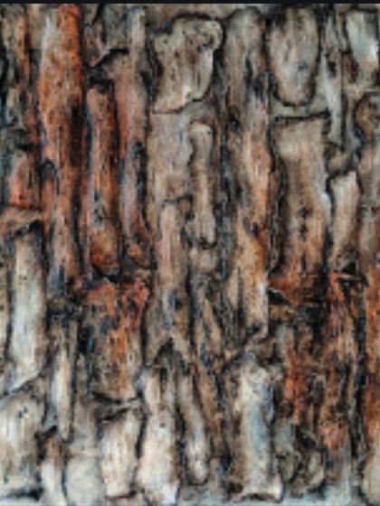 Another piece from my portfolio, this one a textured abstract inspired by tree bark. I am available for commissions in a wide range of styles.