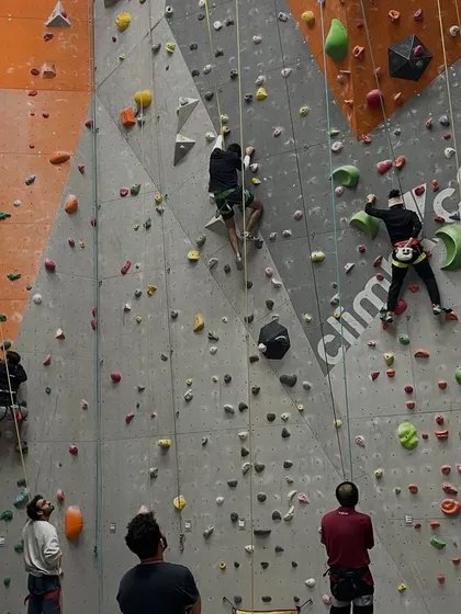 A wide shot of the gym shows multiple climbers on the walls, each on their own journey but part of the same vibrant community.