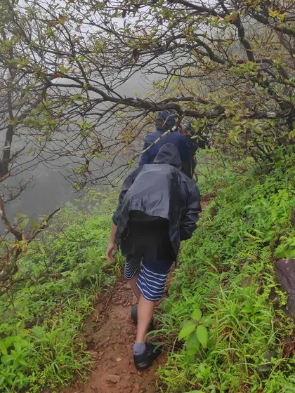 Trekking through a narrow, muddy trail surrounded by lush greenery on the way to Kodachadri peak.