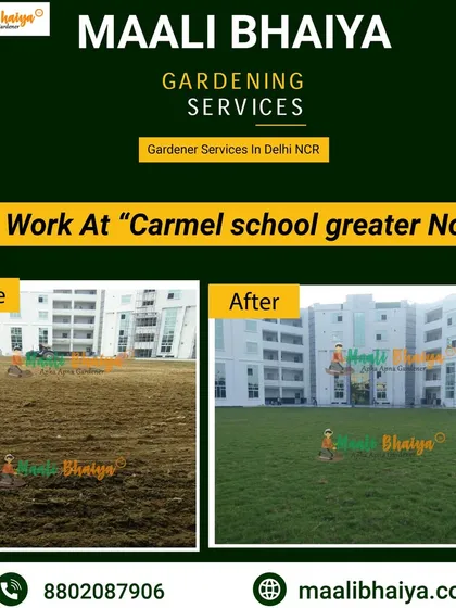 School ho ya office, hara-bhara mahaul sabko pasand hai. Carmel School, Greater Noida mein humne is sookhi zameen ko ek khelne laayak, saaf-suthre ground mein transform kiya. Ye dikhata hai ki hum kisi bhi size ke commercial grounds ko maintain kar sakte hain.