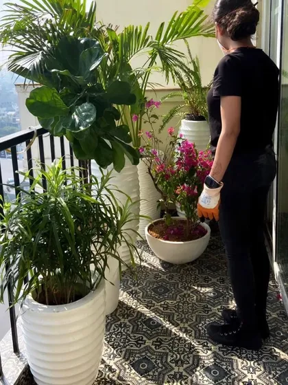 Here I am at a project site, getting my hands dirty. From delivering terrariums myself to doing installations, my journey has been a hands-on ride, driven by a passion for aesthetics and green spaces.