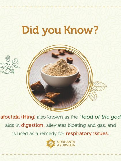 Siddhanta Ayurveda - Weight Management Restoring Digestive Health photo 4