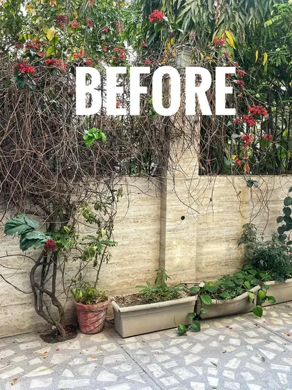 This area was overgrown and needed a complete refresh. We decided to clear it out to make way for a structured, cleaner look.