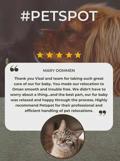 "Our fur baby was relaxed and happy through the process." This feedback from Mary Oommen about her cat's move to Oman is the best compliment I could receive. A calm pet is the goal of every relocation.