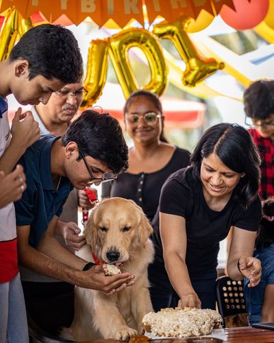 Pet Event Hosting
