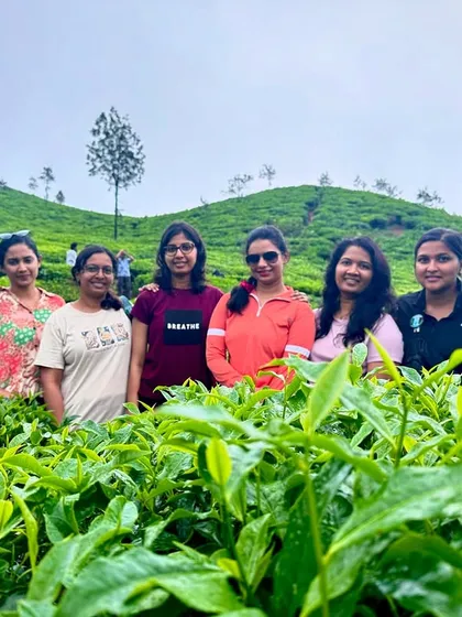 A group photo amidst the vibrant green leaves of a tea estate, a refreshing break during a trek.