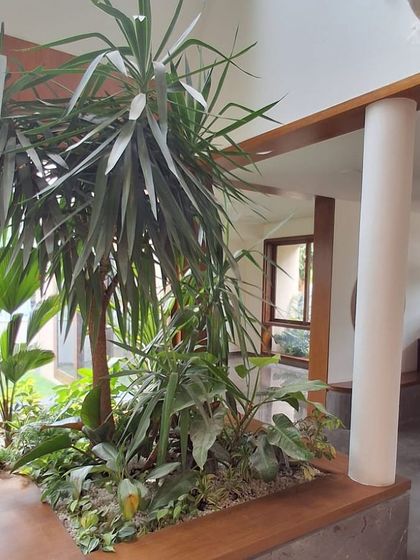 Make My Garden - Garden Design & Landscaping Indoor Green Spaces photo 29