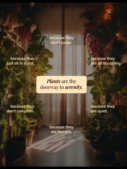 Plants offer a quiet, non-judgmental presence that I believe is a doorway to serenity. They purify our air, calm our minds, and teach us about growth and resilience, connecting us to something deeper.