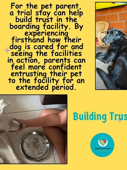A trial stay is for your peace of mind, too. Seeing firsthand how your dog is cared for and how they adapt to the facility helps you build trust and feel confident leaving them with me.