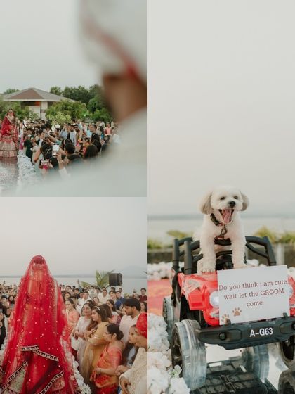 Unforgettable Entries & Baraats photo 17