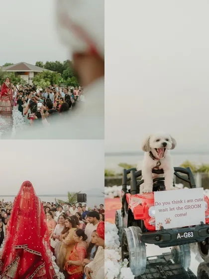 A collage showing the scale of the bridal entry, the crowd of loved ones, and the adorable dog who announced her arrival.