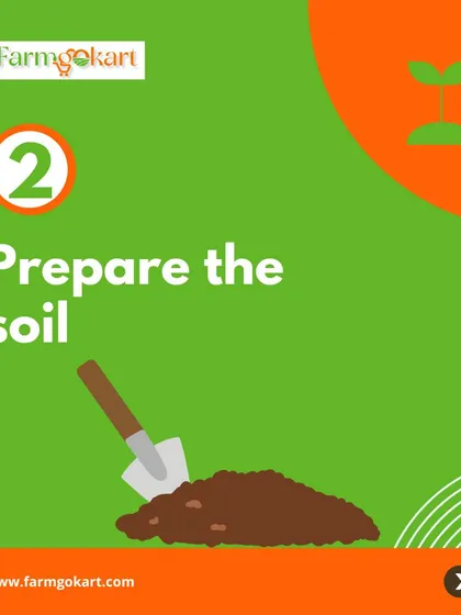 Starting a garden is easier than you think. The second and most important step is always to prepare the soil.