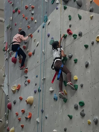 Racing to the top! My walls have routes for all skill levels, allowing friends to climb side-by-side and encourage each other during the party.