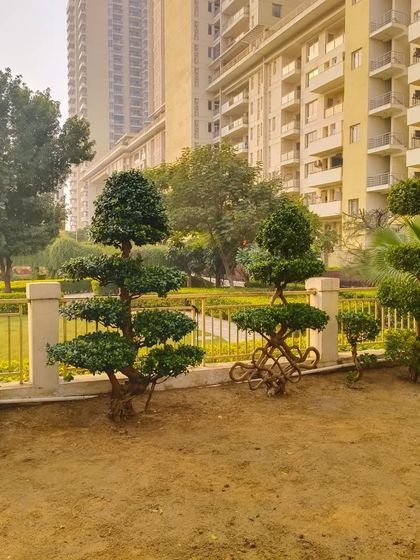 A closer look at the different shapes, from multi-tiered pagodas to twisting, organic forms, against a modern residential backdrop.