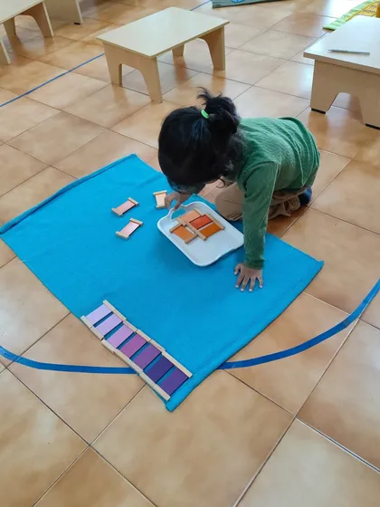A child deeply focused on sorting color tablets. This isn't just play; it's purposeful work that refines visual discrimination, a foundational skill for reading, math, and appreciating the beauty in the world.