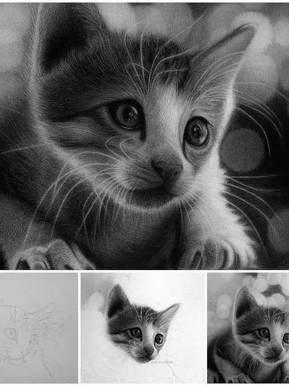 Drawing animals is a wonderful way to learn about texture and form. This drawing of a kitten shows how we can use pencil and charcoal to create the softness of fur and the spark of life in the eyes.