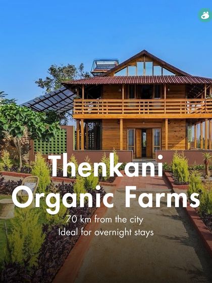 The Pack - Pet-Friendly Adventures & Meetups Pet-Parent Resources: Guides & Tips photo 24