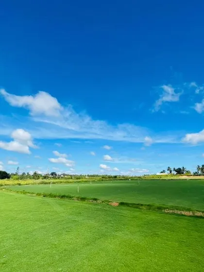 This is a view of my extensive grass farm, where I cultivate pure Mexican grass. The vast, healthy green lawn shows the quality you can expect for your project, whether it's a small garden or a large field.