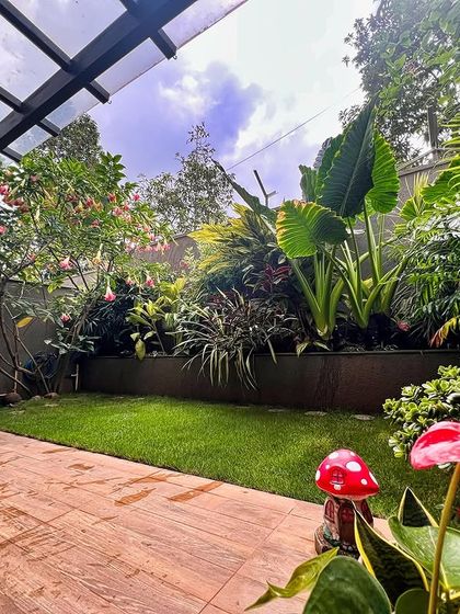 The final look of this beautiful garden, complete with a clear polycarbonate roof that allows for plenty of light. The red anthuriums and whimsical mushroom statue add a pop of color and fun.