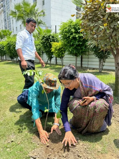 Rotary Club volunteers work alongside our team to plant a tree. Greening industrial areas is often overlooked, but it's a key focus for us to improve the working environment for thousands of people.