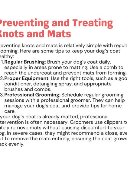 Woofly - At-Home Pet Grooming My Guide to a Healthy Pet photo 15