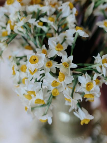 The Mogra Collective - Bespoke Event Design & Production Joyful Haldi & Mehendi Ceremonies photo 11