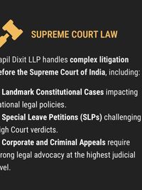 Constitutional & Appellate Litigation